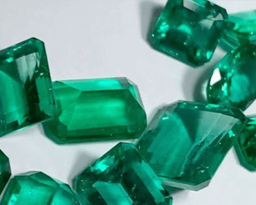 posts diversidade esmeraldas brasileiras 01 capa 370x296 1